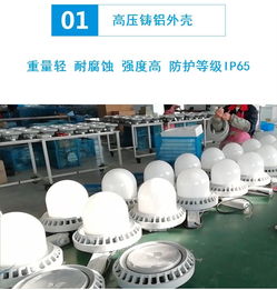 工廠照明壁裝桿裝戶(hù)外三防平臺(tái)燈